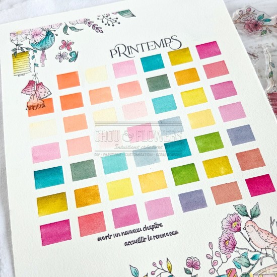 kit aquarelle en collaboration avec Isaro pour la collection Mon p'tit jardin