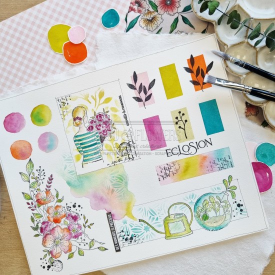 kit aquarelle en collaboration avec Isaro pour la collection Mon p'tit jardin