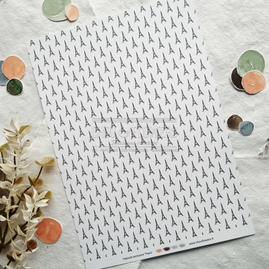 papeterie créative "Paris"