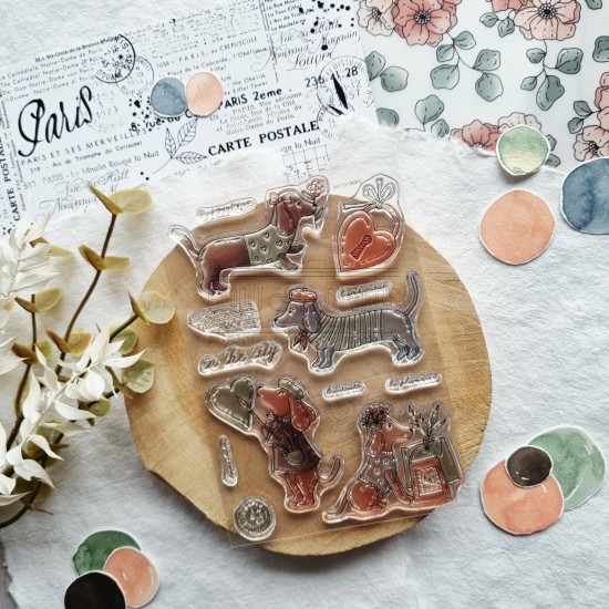 Tampon clear les teckels