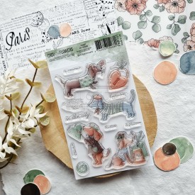 Tampon clear les teckels