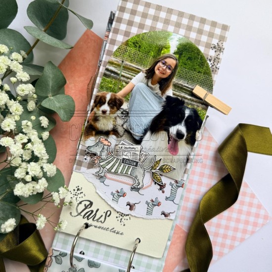 Tampon clear les teckels