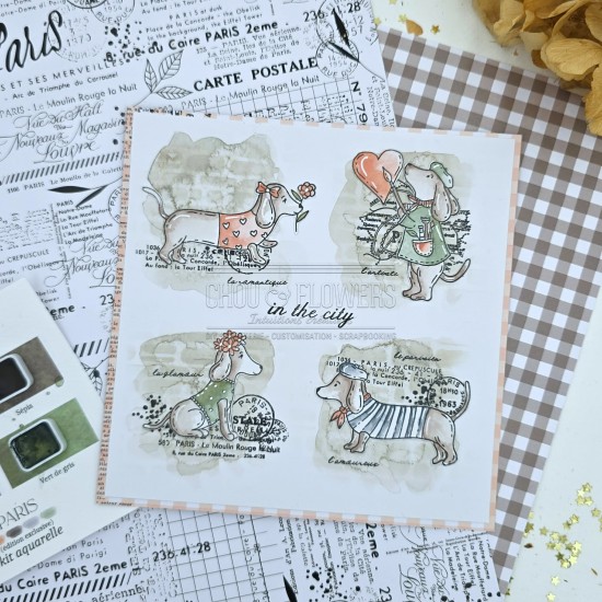 Tampon clear les teckels