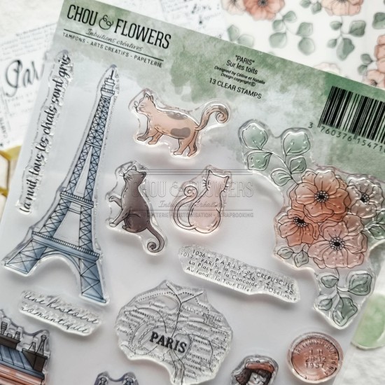 Tampon clear sur les toits