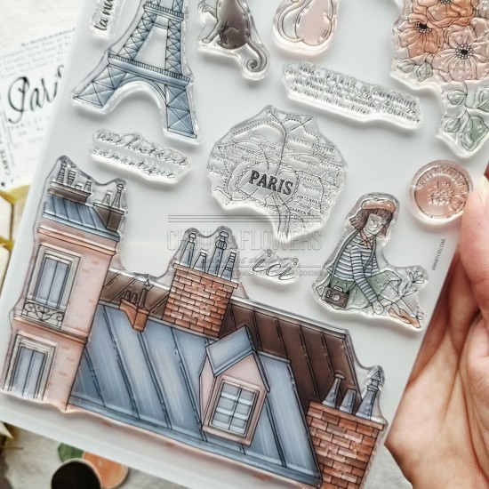 Tampon clear sur les toits