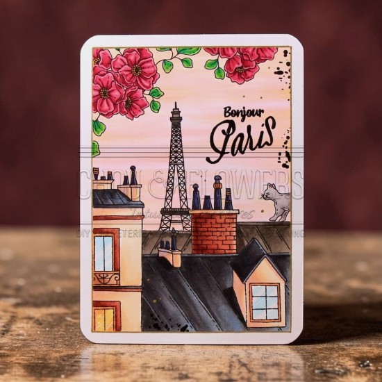 Tampon clear sur les toits