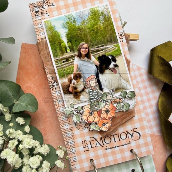 Tampon clear sur les toits