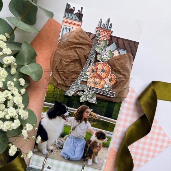 Tampon clear sur les toits