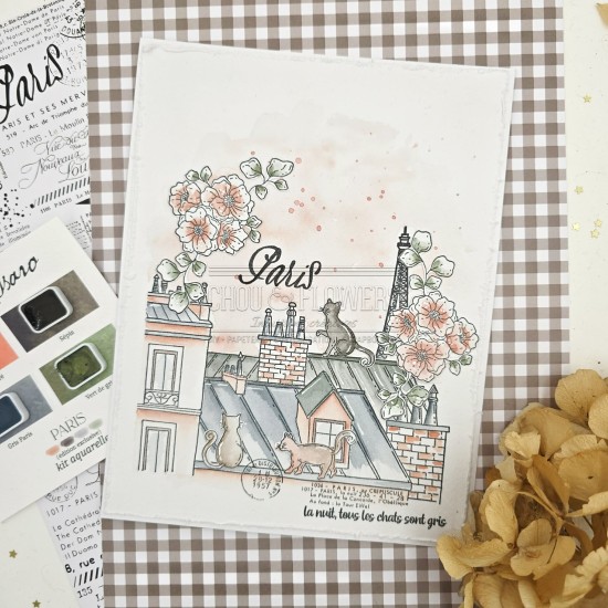 Tampon clear sur les toits