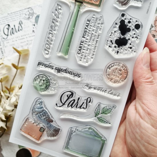 Tampon clear les pigeons