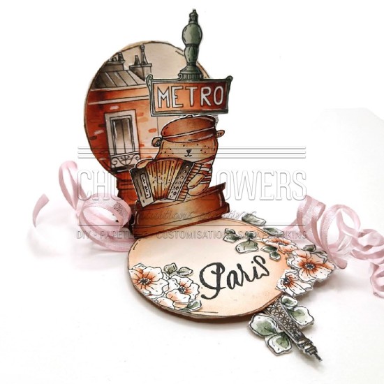 Tampon clear les pigeons