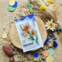 Tampon clear Fleursde safran de la collecton le chant des dunes