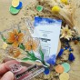 Tampon clear Fleursde safran de la collecton le chant des dunes