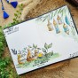 Tampon clear Saveurs d'orient de la collecton le chant des dunes