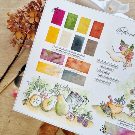 tampon clear la récolte avec les fruits d'automne