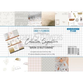 PAPIERS FORMAT A4 300G COLLECTION SIGNATURE BRIN D'AUTOMNE