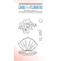 TAMPON CLEAR COQUILLE