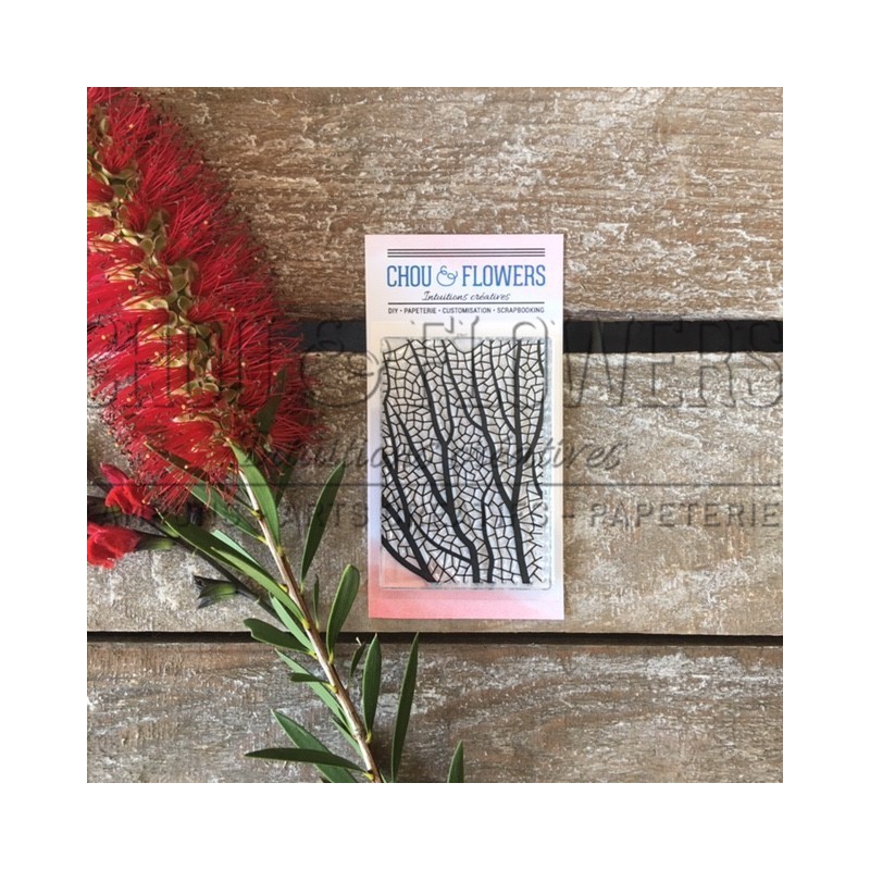 TAMPONS CLEAR FOND CORAIL