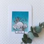 TAMPON CLEAR  CARTE MARINE