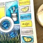 TAMPON CLEAR  CARTE MARINE