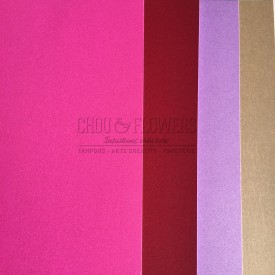 pack de 4 papiers Flashys (Rose)