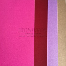 pack de 4 papiers Flashy (Rose)