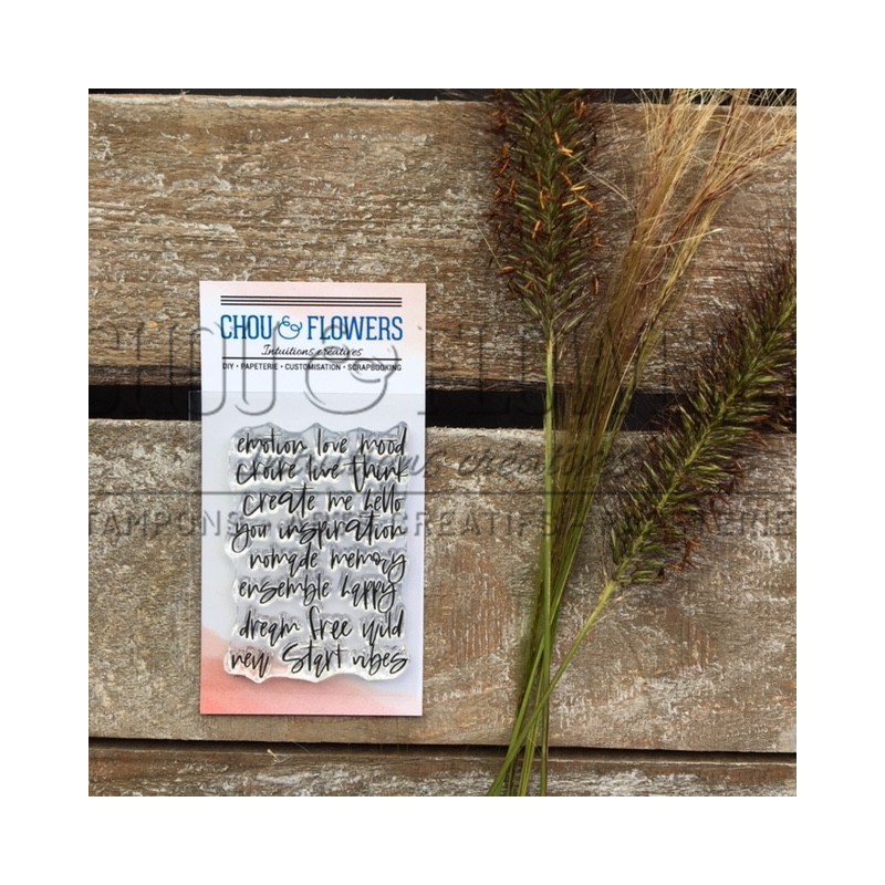 TAMPONS CLEAR TEXTE NEW START