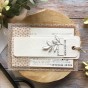 TAMPON CLEAR PLAISIR D'OFFRIR