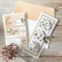 TAMPON CLEAR PLANTES ETOILEES