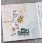 TAMPON CLEAR PLANTES ETOILEES