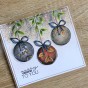 TAMPON CLEAR PLANTES ETOILEES
