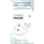 TAMPON CLEAR DOUDOU POISSON