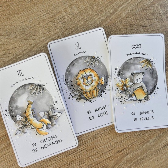 TAMPON CLEAR DOUDOU LION