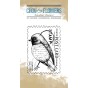 TAMPON CLEAR TIMBRE OISEAU