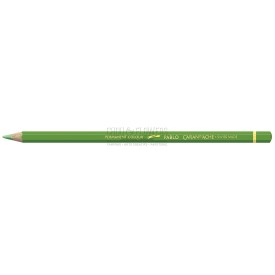 CRAYON PABLO CARAND'ACHE VERT JAUNE 230