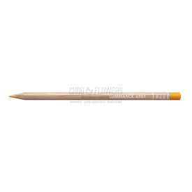 CRAYON LUMINANCE ORANGE 030