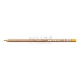 CRAYON LUMINANCE SIENNE NATURELLE 036