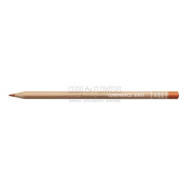 CRAYON LUMINANCE TERRACOTTA