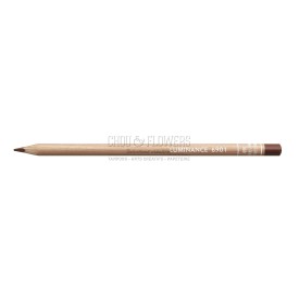 CRAYON LUMINANCE SIENNE BRULEE 069