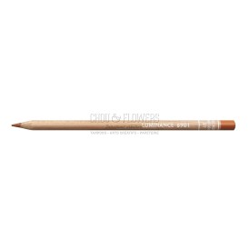 CRAYON LUMINANCE OCRE BRULEE 077