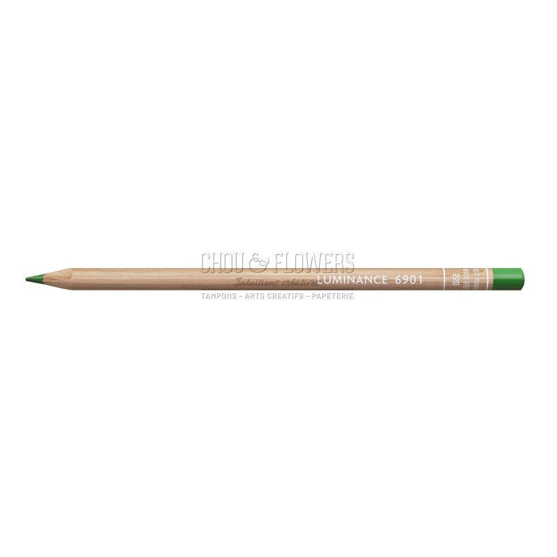 CRAYON LUMINANCE VERT PRAIRIE 220