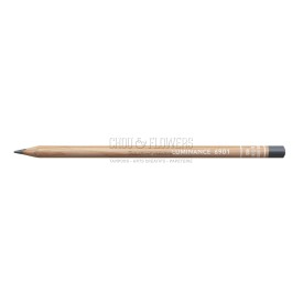 crayon Luminance gris de payne de Caran d'Ache pour vos créations de  scrapbooking et de coloriage