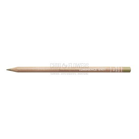 CRAYON LUMINANCE OLIVE BRUNATRE 50% 736