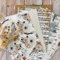 COLLECTION DE PAPETERIE CREATIVE STORYBOOK
