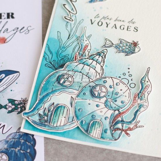 CLEAR MAISONS COQUILLAGE