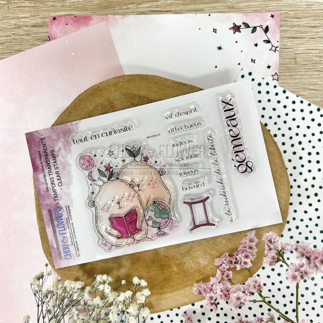 Tampon Silicone Transparent Tarot Et Lune - 16x11 Cm, Pour Scrapbooking, Cartes, Décoration, Créations Manuelles