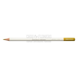 CRAYON DE COULEUR IROJITEN, MUSTARD