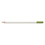 CRAYON DE COULEUR IROJITEN, MOSS GREEN