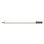 CRAYON DE COULEUR IROJITEN, CACTUS GREEN