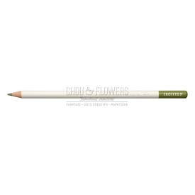 CRAYON DE COULEUR IROJITEN, SAGE GREEN